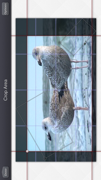 Video Crop & Zoom - HD screenshot-6