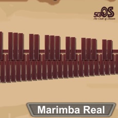 Activities of Marimba Real