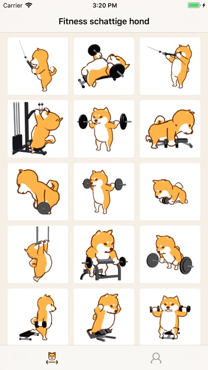 Fitness schattige hond