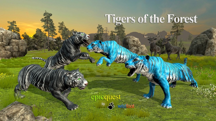 Tigers of the Forest