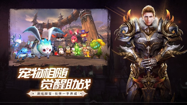 魔龙世界(Dragon Revolt) screenshot-4