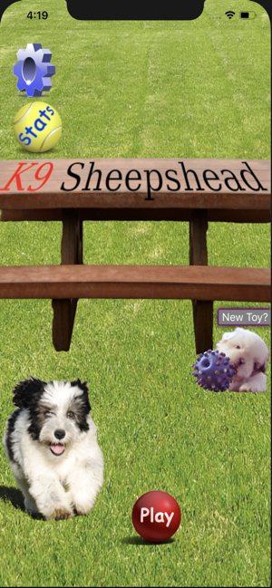 K9 Sheepshead: Schafkopf Cards