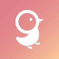 Chick Tag pour PC