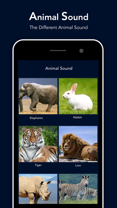 Animal Sound - Zoo Fun screenshot 2