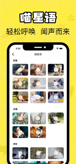 Game screenshot 猫咪翻译官 apk