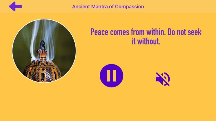 Buddha Status Attention Teachi screenshot-3