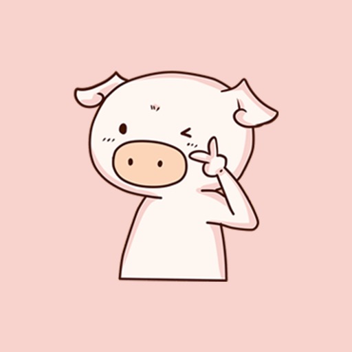 pigDIDI