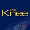 The Knee Journal