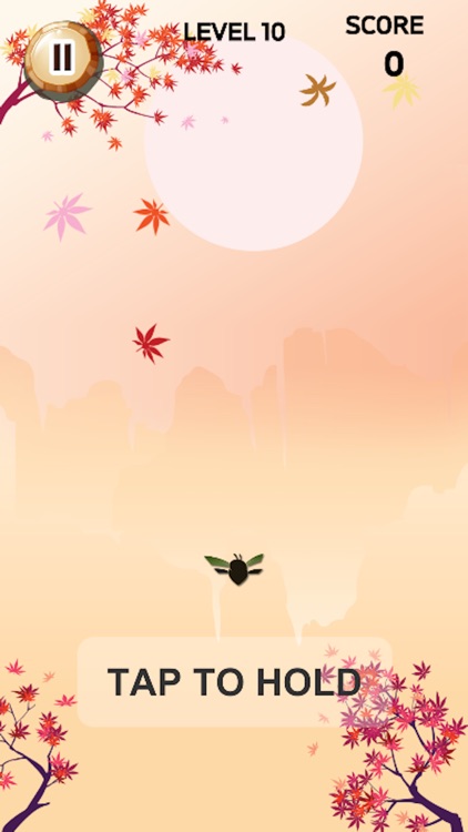 Ninja Bee Brain Puzzle Saga screenshot-6