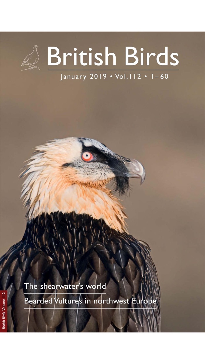 British Birds Magazine