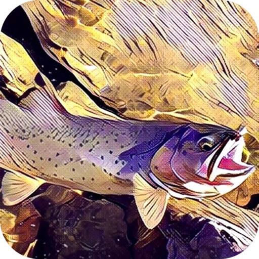 Montana Fishing