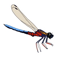 DragonflyPro pour PC