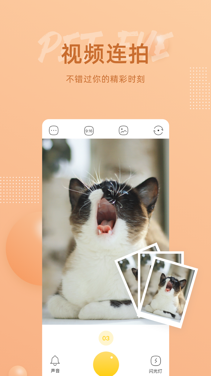 萌仔相机-猫狗萌宠gif拍照软件