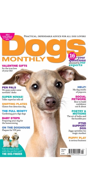 Dogs Monthly Magazine(圖5)-速報App