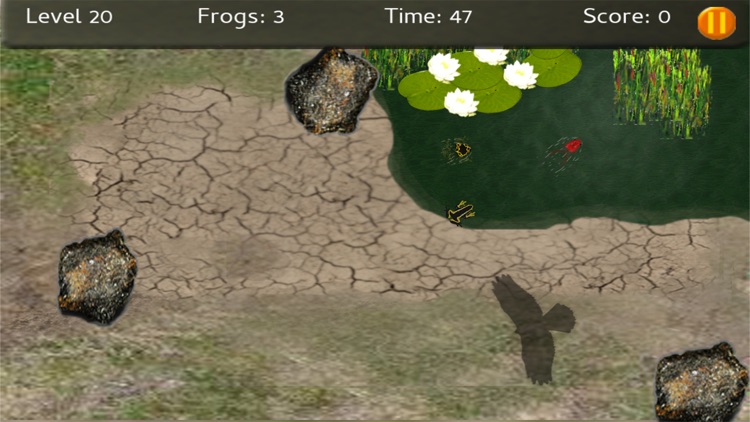 Baby Frogs screenshot-6