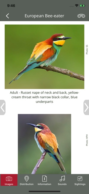 BirdPro Kruger National Park(圖3)-速報App