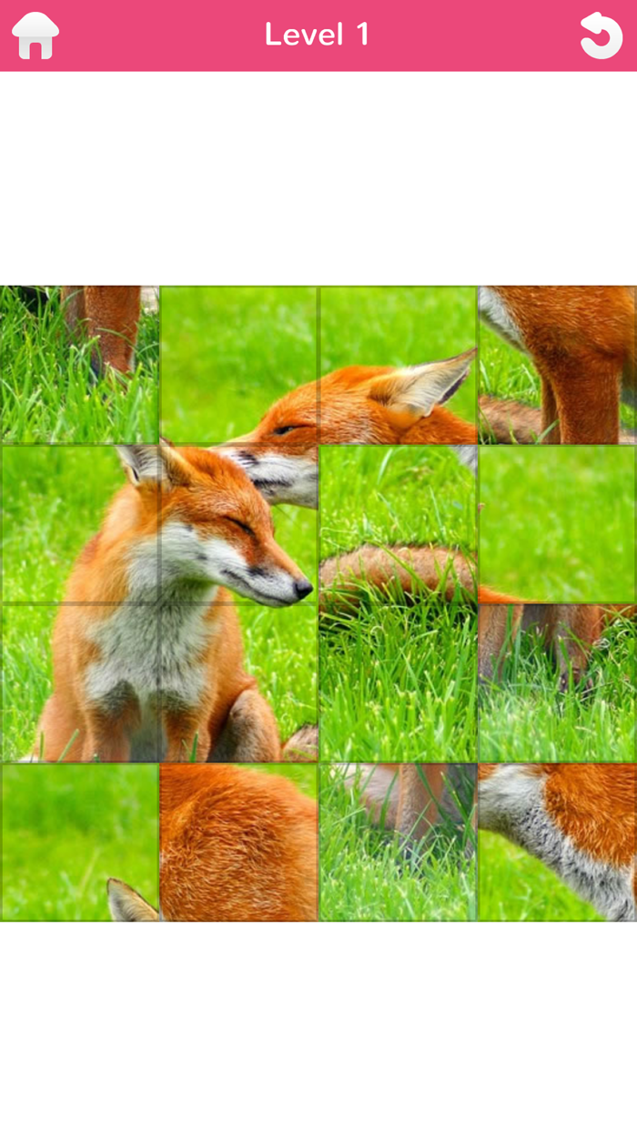 101 Puzzle Pix