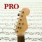 App Icon for Leer Partitura de Guitarra PRO App in Spain App Store