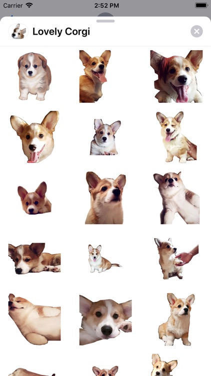 Lovely Corgi Sticker Pack