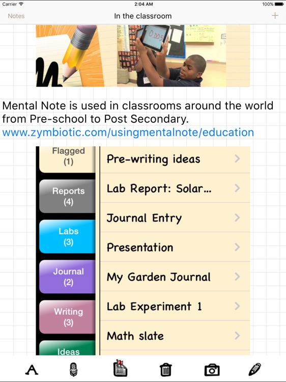 Mental Note for iPad ๛ screenshot-3