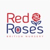 Red Roses British Nursery