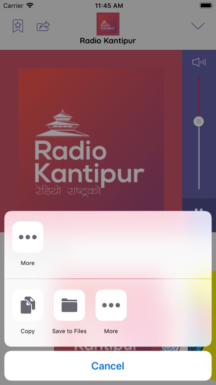 Nepal Radio FM - HOT MUSIC screenshot-3