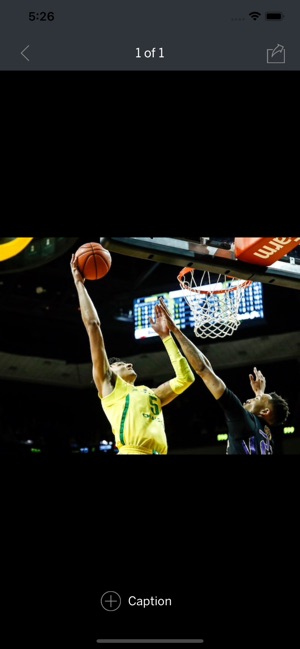 Oregon Ducks Basketball News(圖3)-速報App