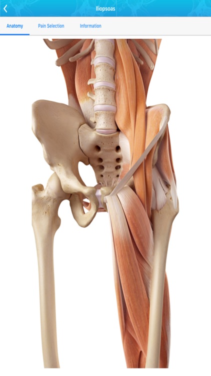 Referred Pain Index