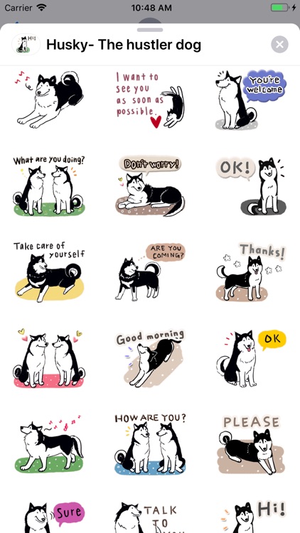 Husky- The snow dog screenshot-5