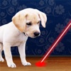 Laser Pointer for Dogs