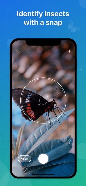 Picture Insect - Insect ID Pro(圖1)-速報App