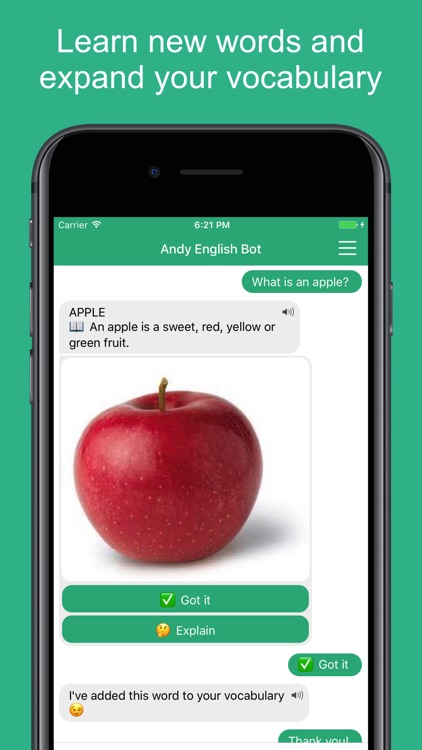 English with Andy - Chat&Learn screenshot-4