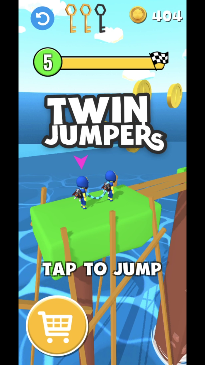 Twin Jumpers 3D