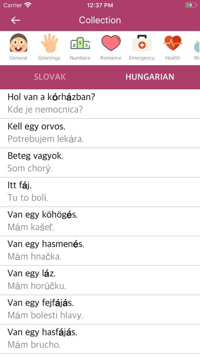Slovak Hungarian Dictionary screenshot 2