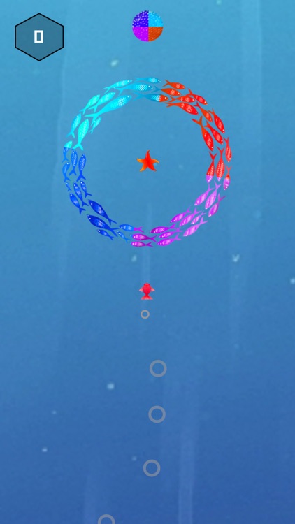 Big Fish - Impossible Bounce screenshot-3