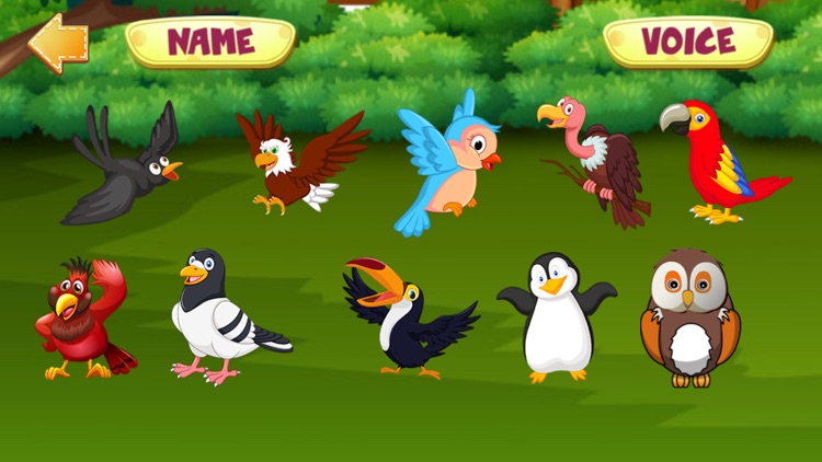 Smart Kids Preschool Education screenshot-3