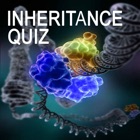 Genetics Inheritance Quiz B