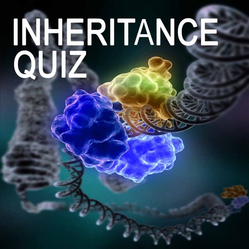 Genetics Inheritance Quiz B