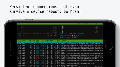 Blink Shell: Mosh & S... screenshot1