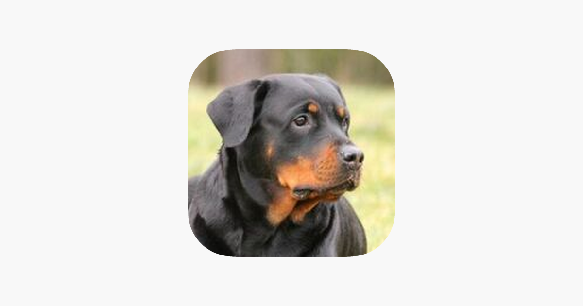 why does my rottweiler howl