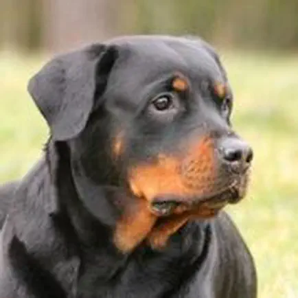 Rottweiler Sounds & Dog Sounds Читы