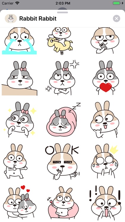 Rabbit Rabbit