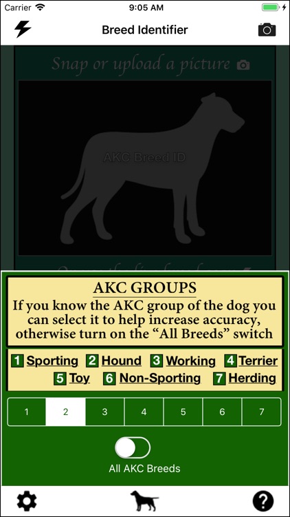 Dog Breed Identifier screenshot-5