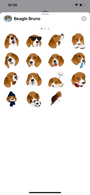 Beagle Bruno