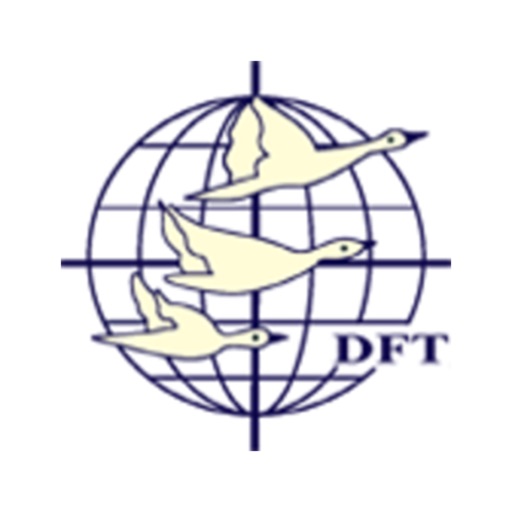 DMI DFT icon