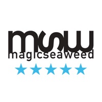 MSW Surf Forecast  PC 용