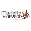 Marietta Vineyard Church