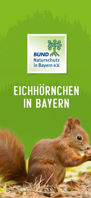 Eichhörnchen in Bayern(圖5)-速報App