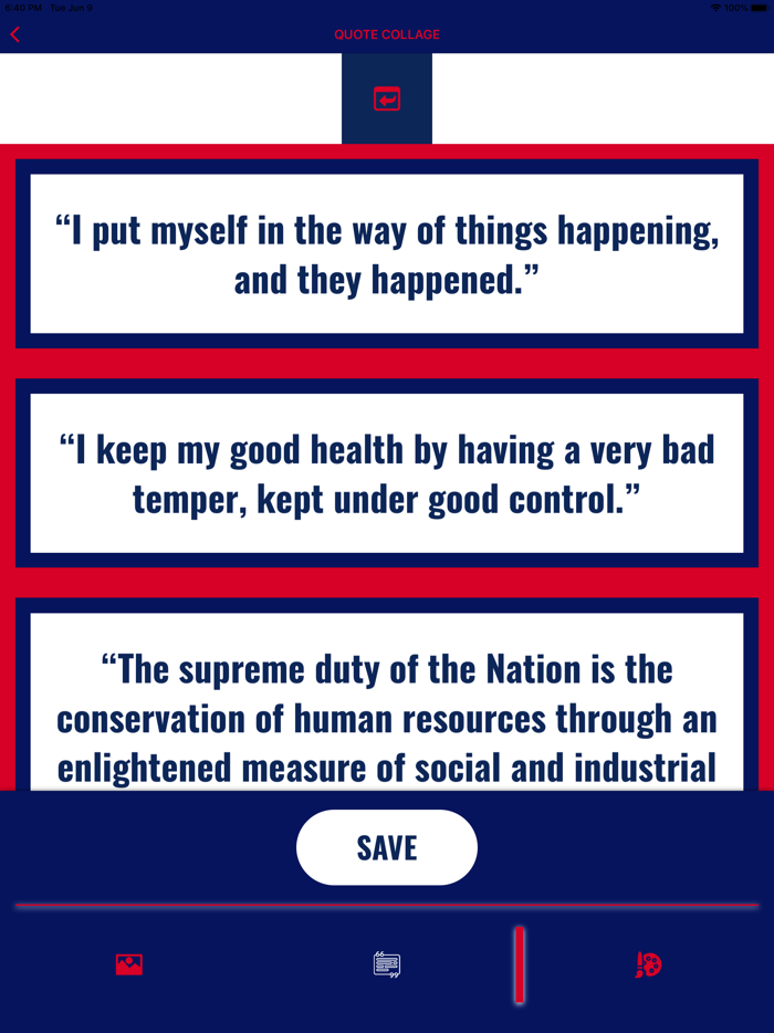 Theodore Roosevelt Wisdom