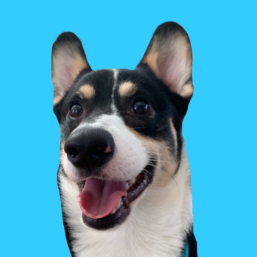 Corgi Axel Sticker Pack